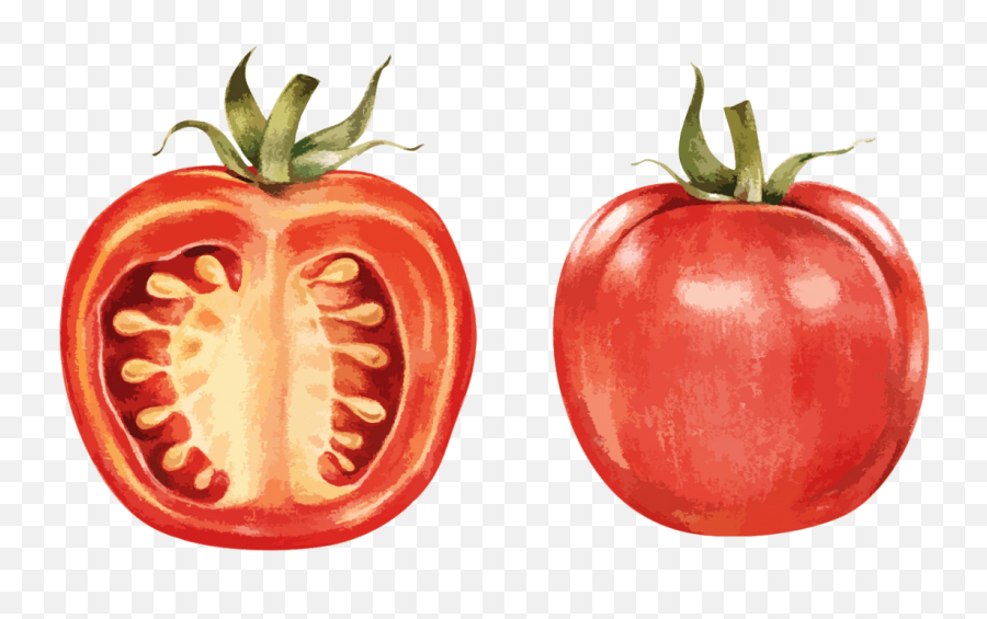Heirloom Tomatoes - Ela Family Farms Illustration Png,Tomatoes Png