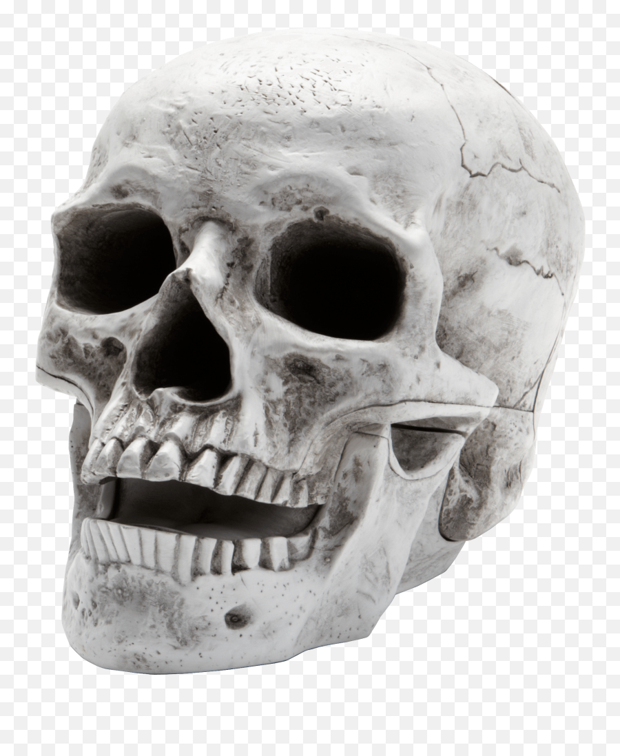 Skull Png Images Free Download - Skeleton Head Png,Skull Face Png