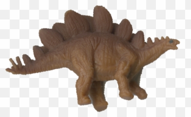 Stegosaurus - Triceratops Full Size Png Download Seekpng Soft,Triceratops Png