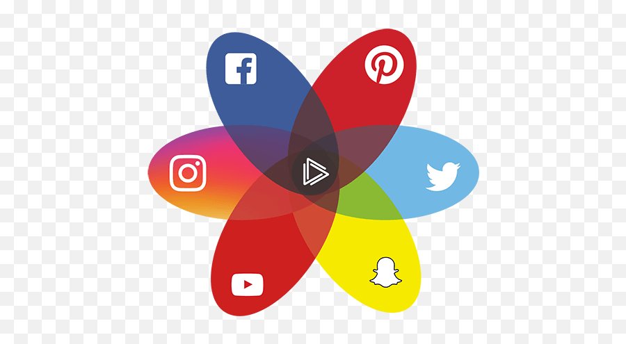 Download Hd Instagram Twitter Transparent Logo - Social Transparent Instagram Ads Logo Png,Twitter And Instagram Logo