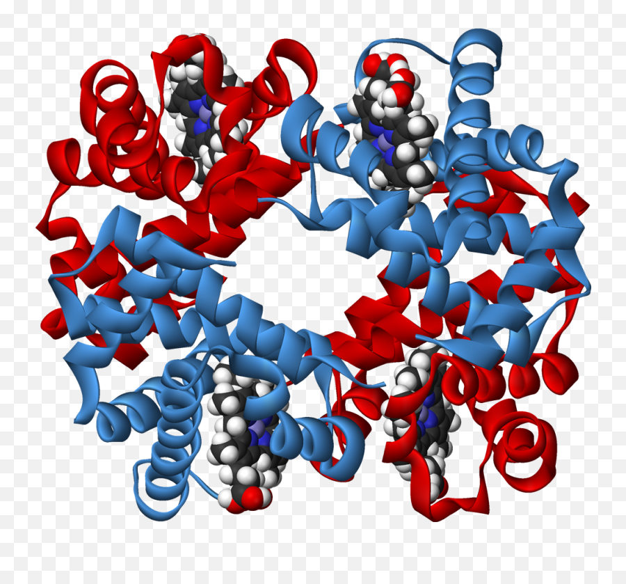 Haemoglobin - Biology Protein Cartoon Png,Ribbons Png