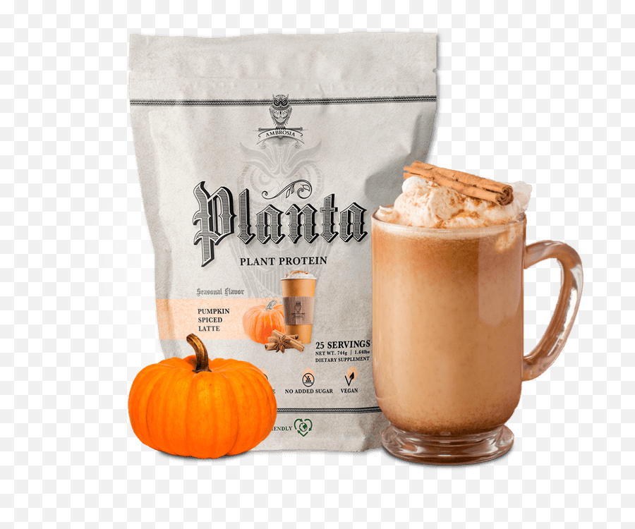 Pumpkin Spice Latte - Plants Png,Pumpkin Spice Latte Png