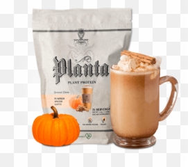 Pumpkin Spice Latte - Plants Png,Pumpkin Spice Latte Png