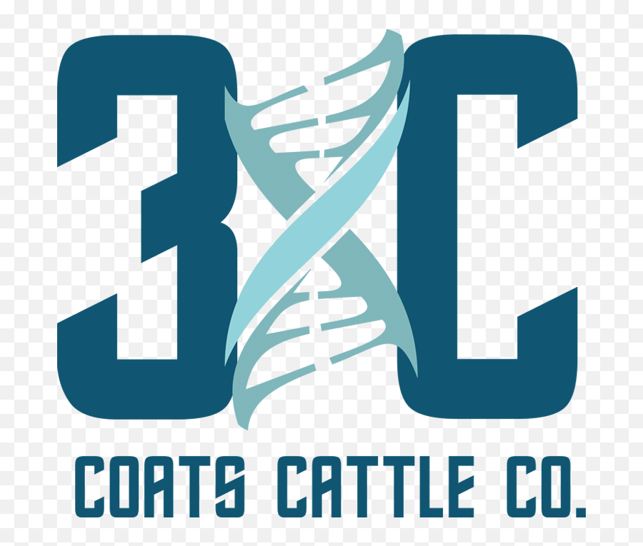 Logo Design - Vertical Png,Cattle Brand Logo