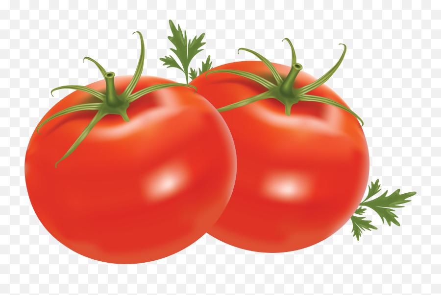 Vegetables Transparent Background - Tomatoes Clipart Png,Vegetables Transparent Background