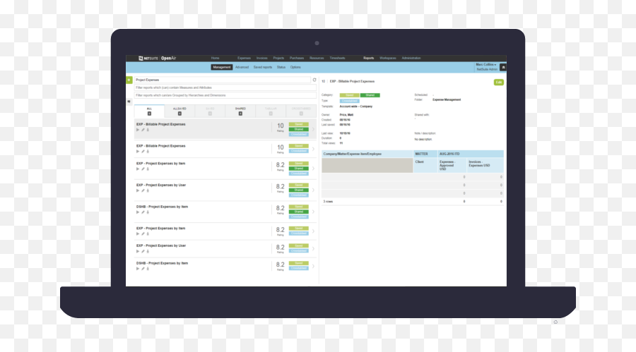 Kpi Reporting Dashboards From Netsuite Openair Help - Vertical Png,Kpi Dashboard Icon