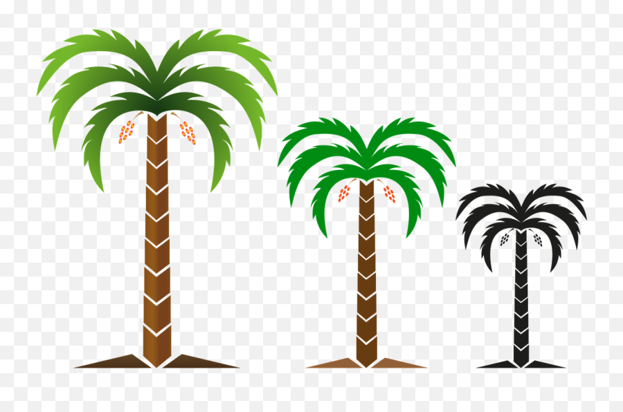 Download Free Photo Of Tree Nature Png Image Logo - Dates Tree Logo Png,Palm Tree Logo Png
