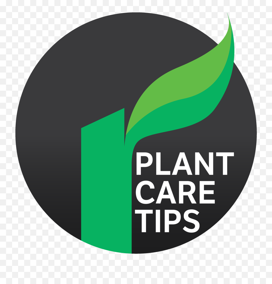 Plantcare Tip Icon - Gloucester Road Tube Station Full Olympic National Park Png,Icon For Tips