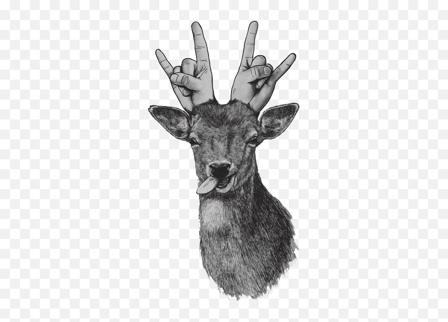 Party Animal Png Deer Icon Tumblr