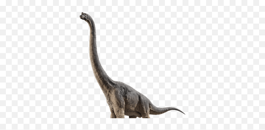 Brachiosaurus Jurassic Park Wiki Fandom - Brachiosaure Png,Lego Jurassic World Icon