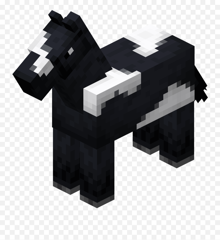 Black Horse With White Fieldpng - Minecraft Wiki,Field Png