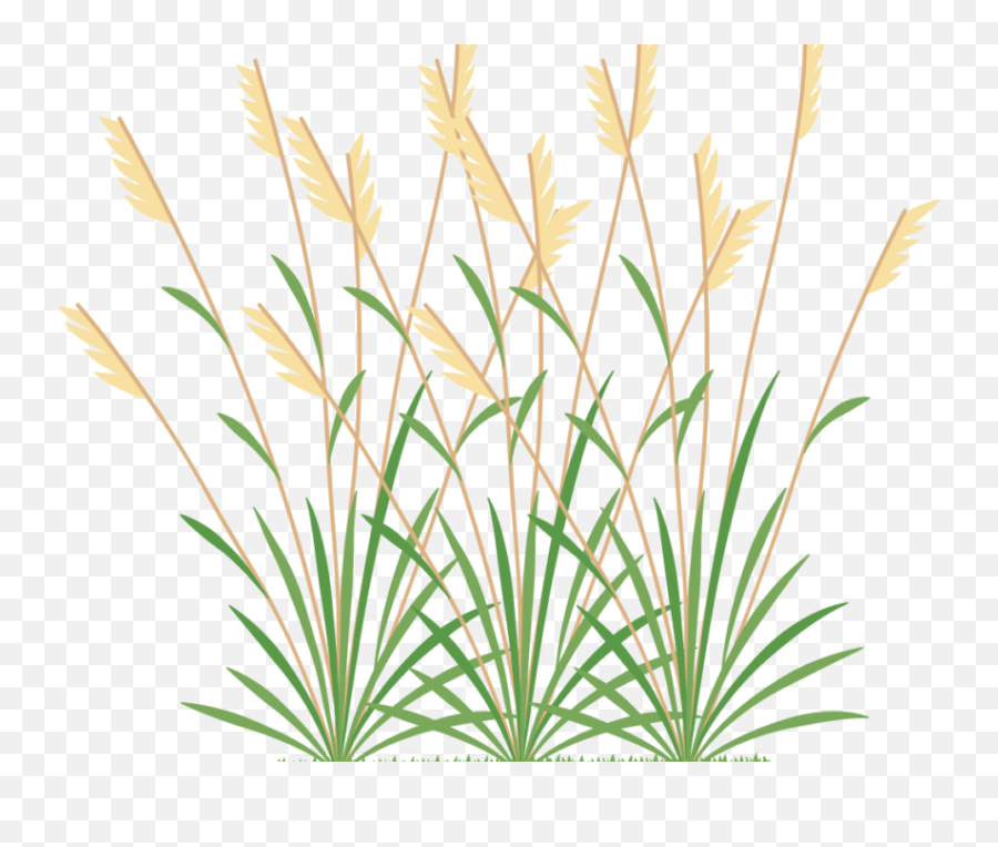 Download Icon 2 Weeds - Weeds Png,Grasses Png