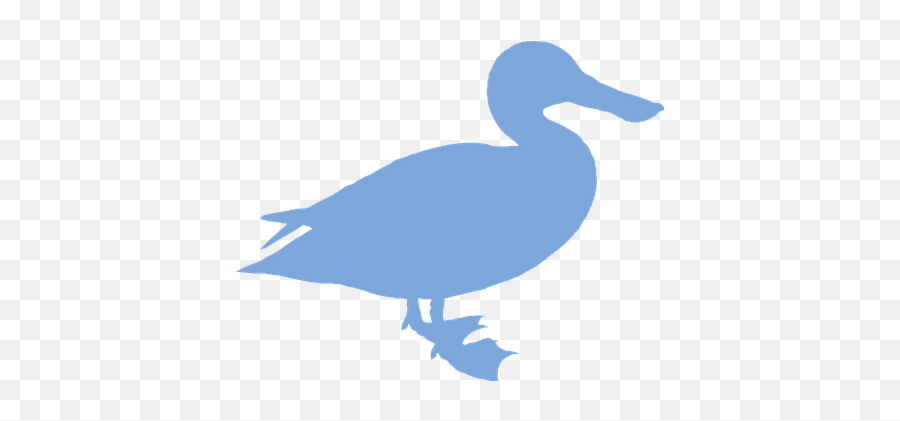 100 Free Waterfowl U0026 Duck Illustrations - Domestic Duck Png,Pelican Icon 120