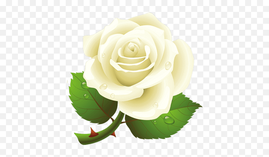 Green And Yellow Rose Flower Png - Stockspng White Rose Png,Rose Flower Icon