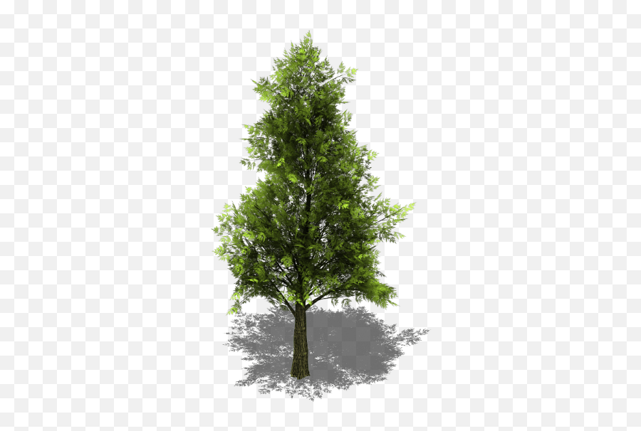 Tree Collection V26 - Bleedu0027s Game Art Opengameartorg Realistic Isometric Tree Png,Tall Tree Png