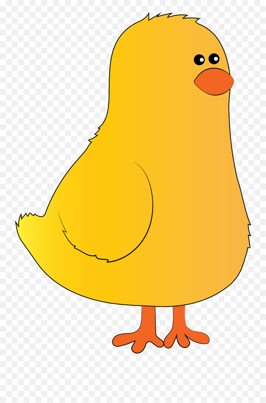 Chick Farm Hen - Free Image On Pixabay Cartoon Png,Chick Png