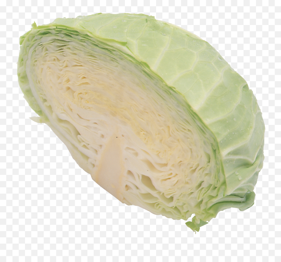 Download Png Image With Transparent - Cabbage,Cabbage Transparent