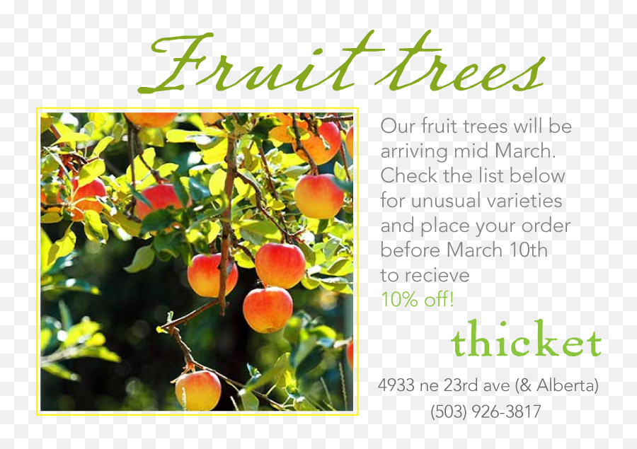 We Are Doing Our Spring Order For Fruit Trees - Tree Apple Fruitful Tree Png,Apple Tree Png