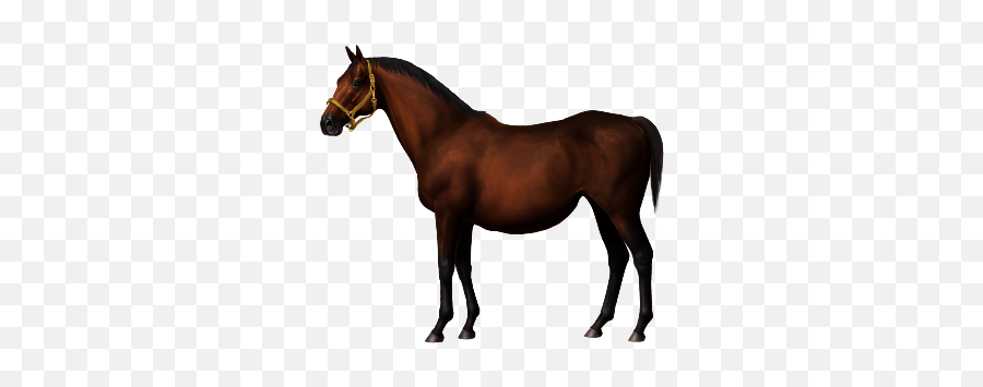 Lil Peep U2022 Horse World Online - Old Black Barbie Horse Png,Lil Peep Png