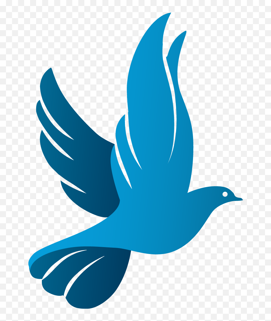 Pin By Karan Wings - Png Church Dove Logo,Bird Logos