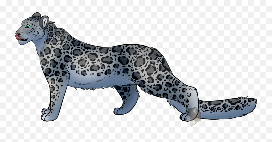 P Feral Snow Leopard - Jaguar Full Size Png Download Snow Leopard,Snow Leopard Png