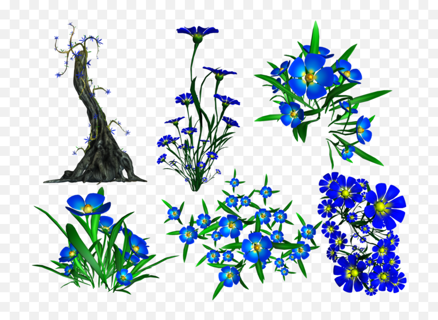 Forget Me Not Png Transparent Image - Portable Network Graphics,Forget Me Not Png