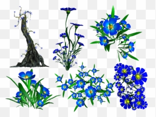 Forget Me Not Png Transparent Image - Portable Network Graphics,Forget Me Not Png