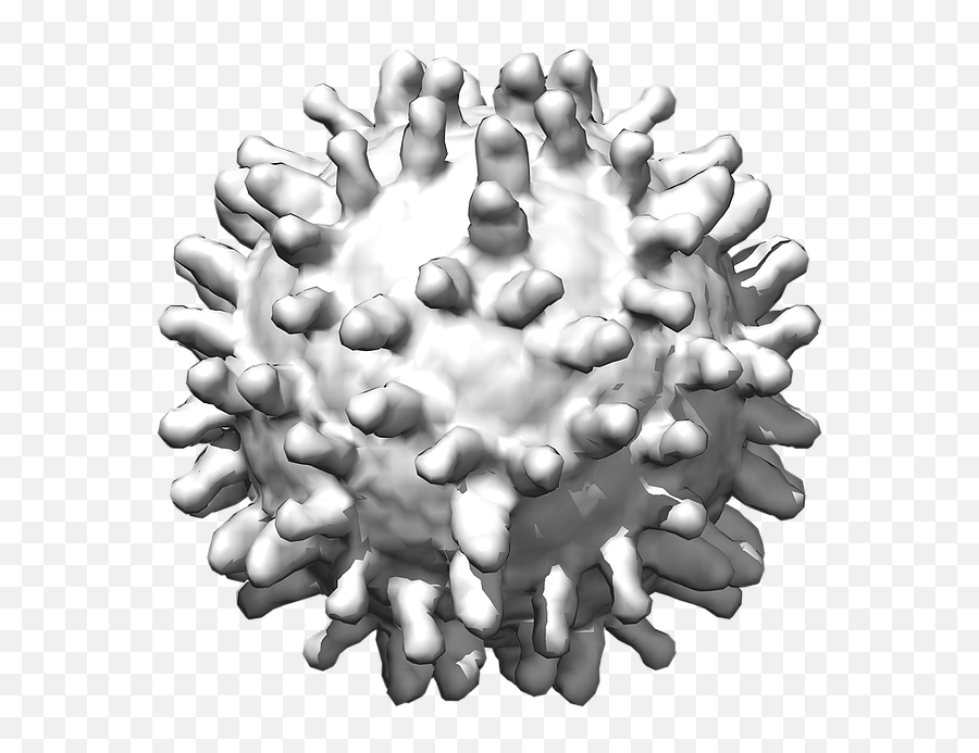 Coronavirus Png - Coronavirus White Background Png,Virus Transparent
