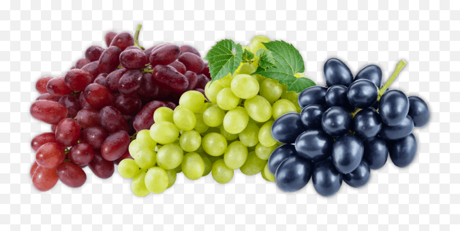 Download Grapes Fruit Hd Png - Fruits Grapes,Grape Png