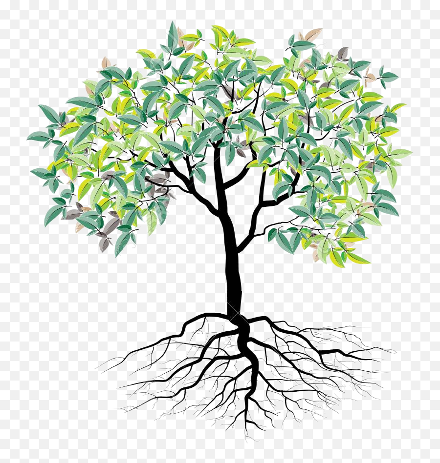 Faith Family And Roots - Cartoon Tree With Roots Png,Roots Png - free  transparent png images 