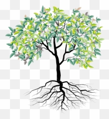 Faith Family And Roots - Cartoon Tree With png