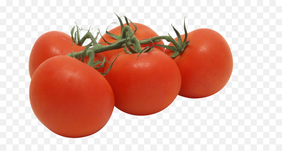 Tomatoes - Levarht Vine Ripe Tomatoes Png,Tomato Transparent