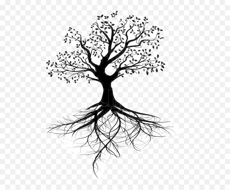 Life Root - Tree With Roots Silhouette Png,Tree Of Life Transparent