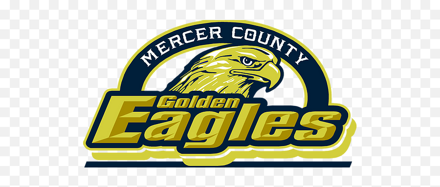 The Eagle Eye - Mercer County Illinois High School Logo Png,Eagle Eye Icon