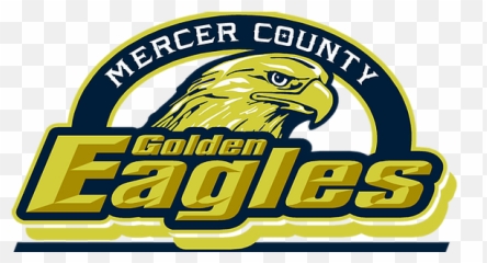 The Eagle Eye - Mercer County Illinois High School Logo png