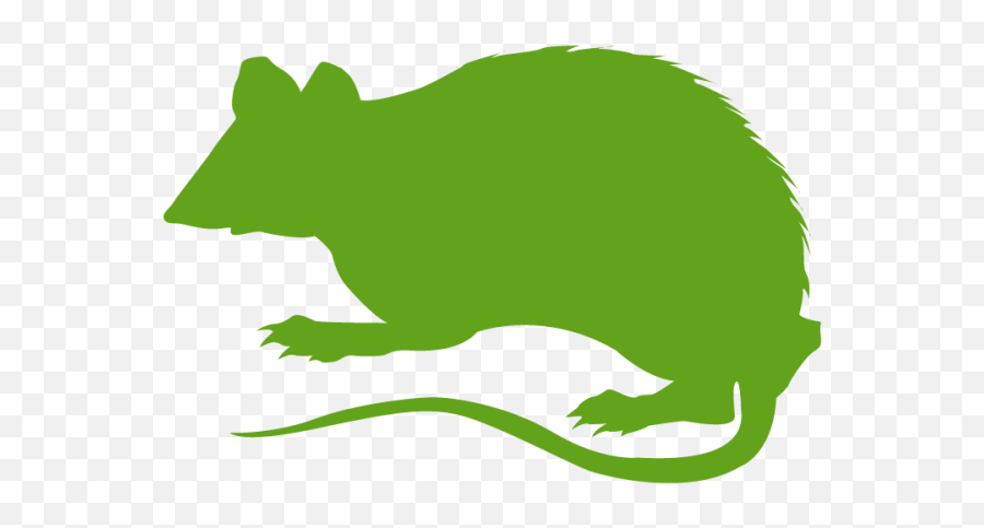 Pest Control Services In West Allis Wi Professional - Animal Figure Png,Rat Icon