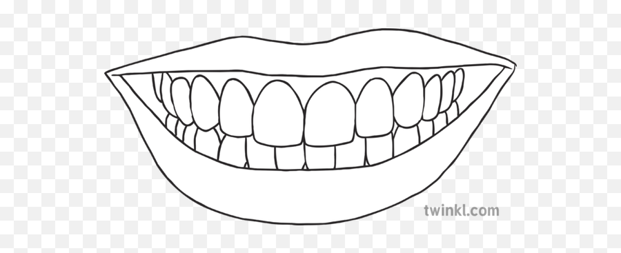 Smiling Mouth With Teeth Science Ks2 Black And White Rgb - Line Art Png,Smiling Mouth Png