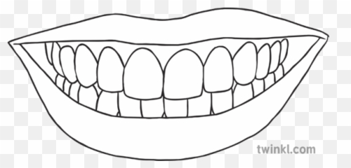 Smiling Mouth With Teeth Science Ks2 Black And White Rgb - Line Art Png,Smiling Mouth Png