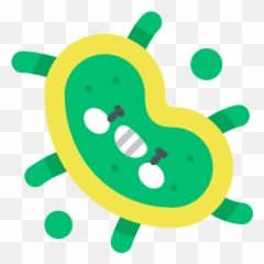 Bacteria - Free medical icons Dot png