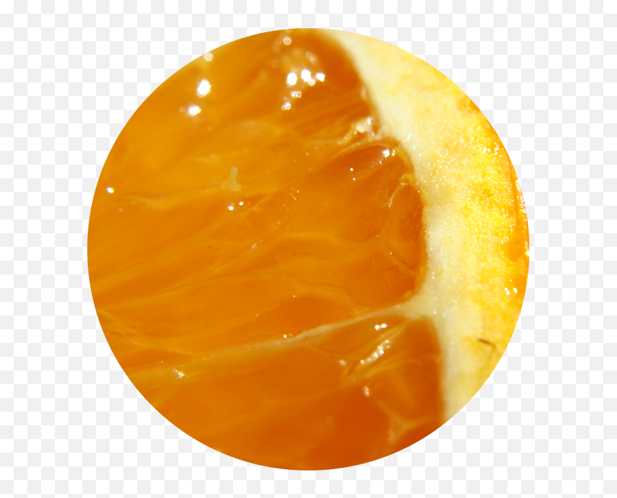 Tangerine Products Citrofrut - Fresh Png,Tangerine Icon