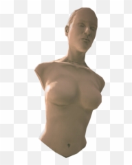 Mannequin Female Torso - Mannequin Torso Png,Torso Png