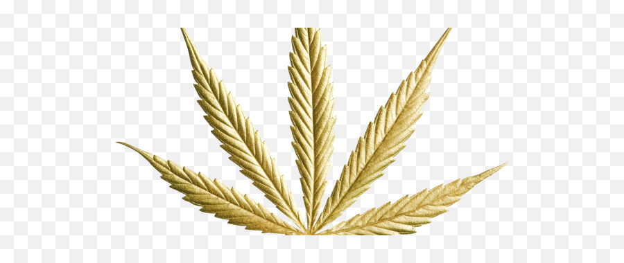 Gold Cannabis Leaf Png Image - Gold Cannabis Leaf Png,Weed Leaf Png