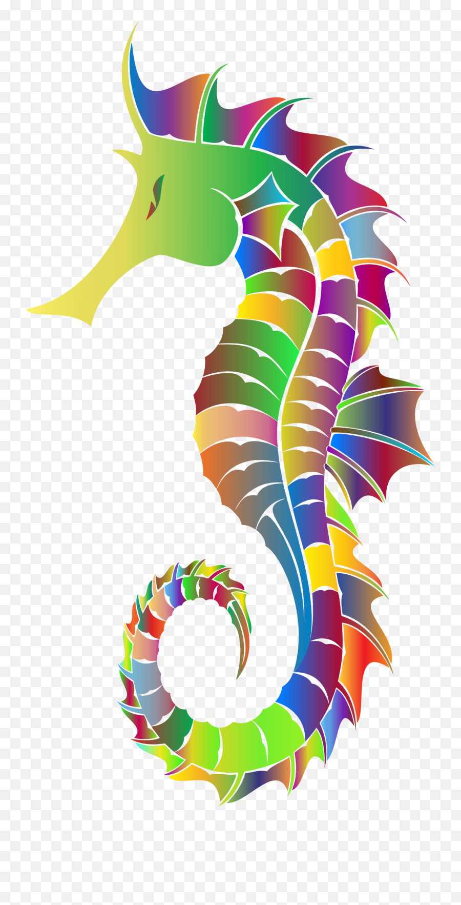 Download Hd Rainbow Clipart Seahorse - Transparent Background Seahorse Clipart Png,Rainbow Clipart Transparent Background