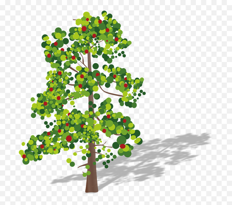 Tree Fruits Green - Free Vector Graphic On Pixabay Ecological Characteristics Of Plant Community Png,Apple Tree Png
