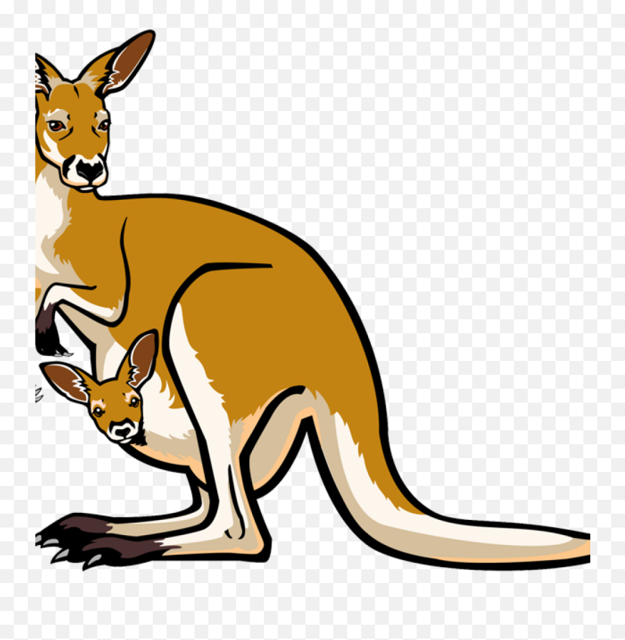 Download Hd Kangaroo Clipart Santa Hatenylo - Clip Art Kangaroo Png,Santa Clipart Png