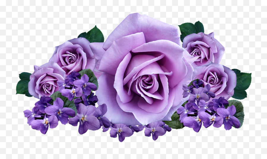 Roses Violets Flowers - Purple Roses Transparent Background Png,Violets Png