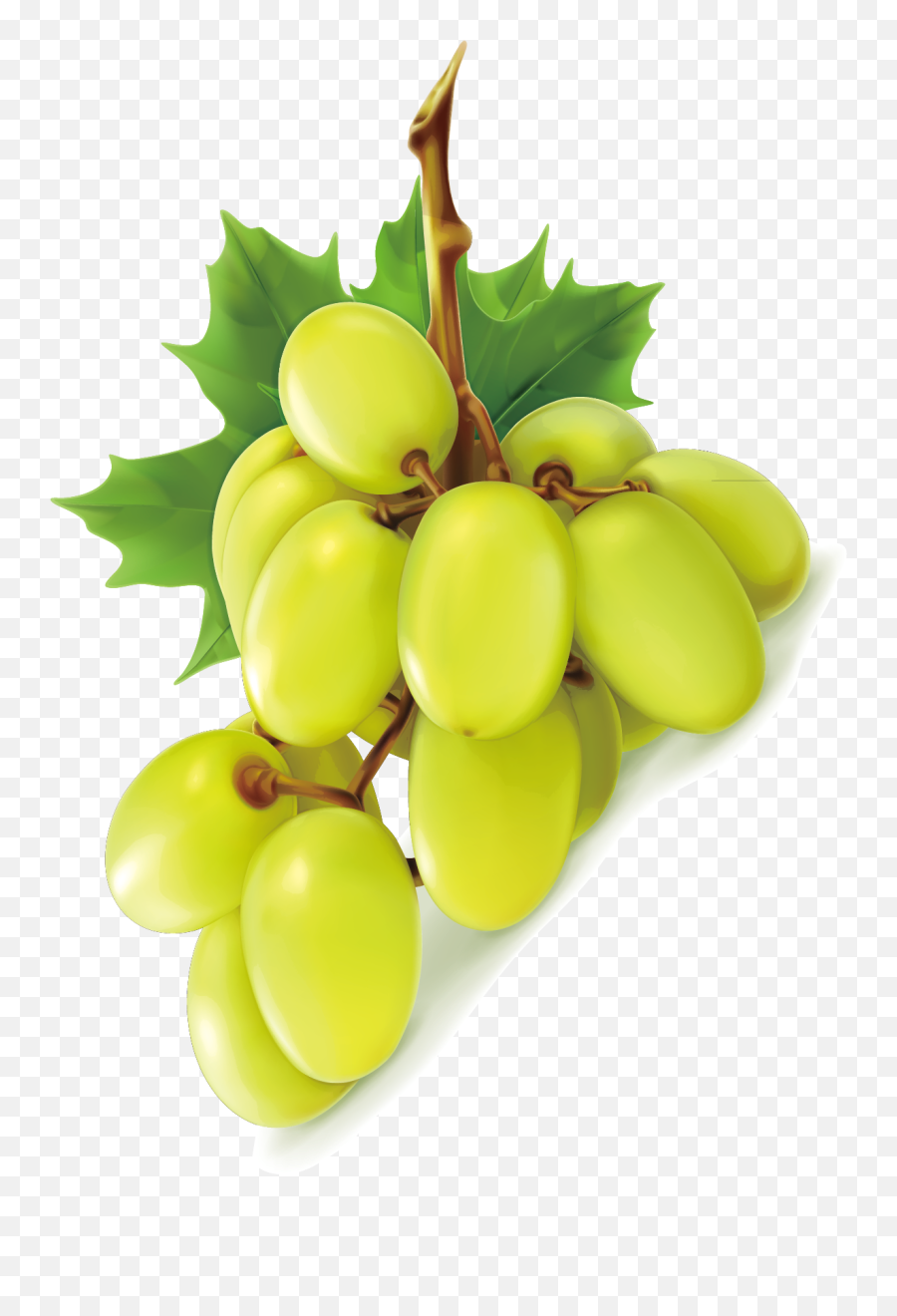 Grape Png Image Clip Art - Grape Png,Grape Png