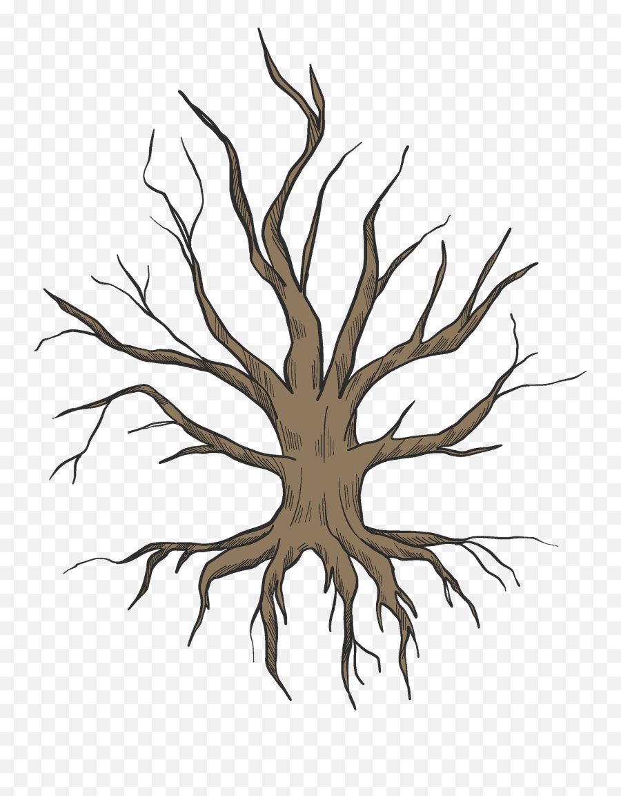 Dried - Clipart Roots Png,Roots Png