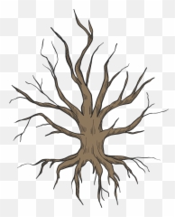 Dried - Clipart Roots png