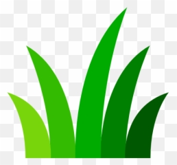 Grass - Free nature icons Icon Turfgrass png